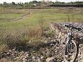 bici 059